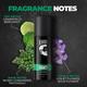 Beardo Legacy Perfume Deo Spray - Strong & Long Lasting 40 ml - Men Deodorants/Roll-Ons