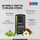 Dr Batras Nutrigood No Stress Gummies with Ashwagandha, Brahmi & Chamomile for Stress Relief - 60 Gummies 1's - Sexual Care