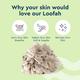 Gubb Exfoliating Bath Loofah - Pebble 1's - Loofahs & Sponges