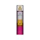 Dorall Collection Pumpkin Cinnamon + Blue Princess + Exotic Vanilla Body Mist Set 3's - Women Perfumes (Edt/Edp)