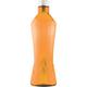 Rosa Glacier Premium Water Bottle - Orange 1000 ml - Others