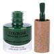 Colorbar Vegan Nail Lacquer-Earth Wise-081 8 ml - Nail Polish