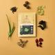 Khadi Essentials Charcoal Sheet Mask - Green Tea & Aloe 25 ml - Sheet Masks