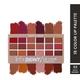 Matt Look Lets Showy Lip Color Palette, Long Lasting - Lets Showy 18 gm - Lip Kits & Palettes