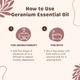 Essentia Extracts Geranium Essential Oil 15 ml - Essential Oils