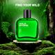 Wild Stone Forest Spice Perfume 100ml - Men Perfumes (Edt/Edp)