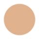 PAC Studio HD Concealer Sheesham 12 gm - Concealer