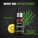 Beardo Concentrate Rosemary Essential Oil 15ml - Hair Oils