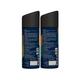 Peter England Deodorant Flourish & Classic Musk 150ml each 2's - Men Deodorants/Roll-Ons