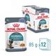 Royal Canin Hairball Care (12 X 85 gm) - Petfood