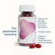 Briyo All Around Mom Postnatal Multivitamin Capsules 60's - Multi-Vitamins