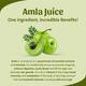 Sri Sri Tattva No Added Sugar Juice - Amla 1000 ml - Ayurvedic Juices