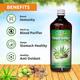 Swadeshi Triphala Aloevera Ras 500 ml - Health Products