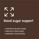 Pure Cure + Co. Blood Sugar Support - Manage Diabetes 1's - Others