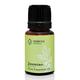 Februus Organics Pure Essential Oil - Jasmine 10 ml - Essential Oils