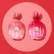 Banderas The Icon Splendid Eau de Parfum 50 ml - Women Perfumes (Edt/Edp)