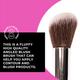 Plume P02 Angled Blush Brush 1's - Blush Brush