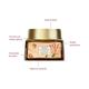 Forest Essentials Advanced Eternal Youth Formula Date & Litchianti-Aging Night Cream 50 gm - Face Moisturizers