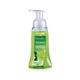 Palmolive Foaming Lime & Mint Hand Wash 250 ml - Hand Wash & Soaps