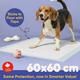 Purple Tails Air Series Pet Training Pad Large) (Pack of 60) - Pet Healthcare