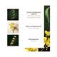 Rene Furterer Absolue Keratine Ultimate Repairing Mask Fine to Medium Hair 100 ml - Conditioners