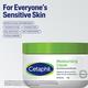 CETAPHIL MOISTURISING Cream 250gm - Lotions & Creams