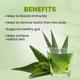 Baidyanath Pure Aloe Vera Juice 1 litre - Ayurvedic Juices
