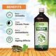 Swadeshi Giloy Ras Liquid 500 ml - Giloy