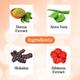 Aryanveda Coloured & Frizzy Hair Color Protect Shampoo For All Hair Type 1000 ml - Shampoos