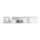 VIGOQUIN Eye Ointment 5g - Eye Infections-Eaa