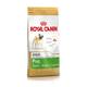 Royal Canin Pug Adult 1.5 Kg - Petfood