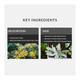 Raw Nature Hand & Body Lotion - Helichrysum & Sage 60 gm - Lotions & Creams