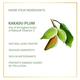 Anveya Advanced Vitamin C Serum 30 ml - Face Gels