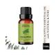 Essentia Extracts Eucalyptus Essential Oil 15 ml - Essential Oils
