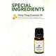 Clovia Botaniqa Ylang Ylang Essential Oil 10 ml - Essential Oils