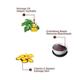 The Skin Story Face Scrub - Moringa 100 gm - Face Scrubs