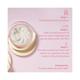 The Pink Foundry Wrinkle Reduction Night Cream 50 ml - Night Cream