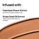 Renee Pro HD Contour - Medium 8 gm - Contour