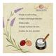 Bioayurveda Basics Youth Sport Anti-Fungal Foot Creme 60 gm - Foot Creams & Lotions
