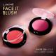 Lakme Face It Blush Peppy Peach B4 4 gm - Blushes