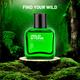 Wild Stone Forest Spice Spray 50ml - Men Perfumes (Edt/Edp)