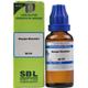 SBL Bacopa Monnieri 30C Liquid 30 ml - Dilutions