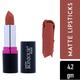 Bonjour Paris Silk Matte Lipstick-Nude Brown 4.2 gm - Lipsticks