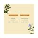 Juicy Chemistry Tea Tree & Peppermint Dusting Powder, Vegan, Talc Free, for unisex 35.0 gm - Talcum Powders