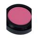 Paese Cosmetics Blush 61 3 gm - Blushes