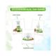 Mamaearth Aloe Vera Sleeping Mask Night Cream with Aloe Vera & Ashwagandha for a Youthful Glow 100 gm - Masks & Peels