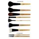 Allure makeup brush set with bag (Pack of 25) 1's - Face Brush
