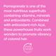 Petal Fresh Color Protection Pomegranate and Acai Conditioner 355 ml - Conditioners