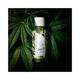 Diego dalla Palma Milano Cannabis Sativa Seed Oil - Face And Body 100 ml - Creams/Oils/Lotions