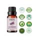 Essentia Extracts Combo of Lavender Essential Oil & Extra Virgin Coconut Oill, 115ML (15ML +100ML) 2's - Massage Oils